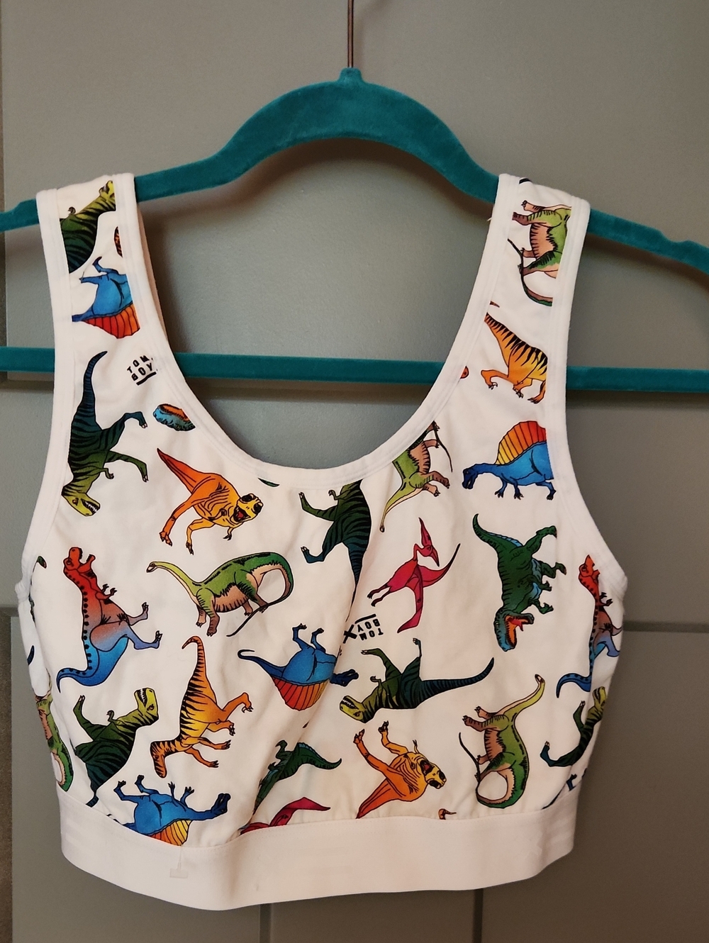 NEW TomboyX Essentials Soft Bra Colorful dinosaur print. XL